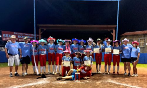 Area softball