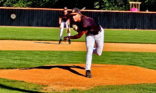 Alexandria pitcher Bray Goode lets fly on the way to a two-hitter in Game 1 against Dora on Friday at Alexandria. The Valley Cubs swept Dora and will face Deshler on the road in a second-round series. (Photo by Joe Medley/East Alabama Sports Today)