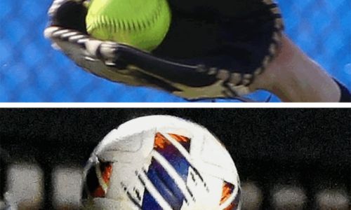 Spring roundup