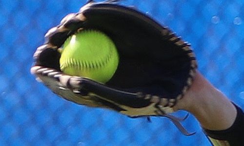 Spring roundup
