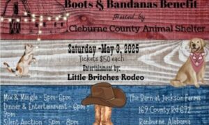 Boots and Bandanas Benefit