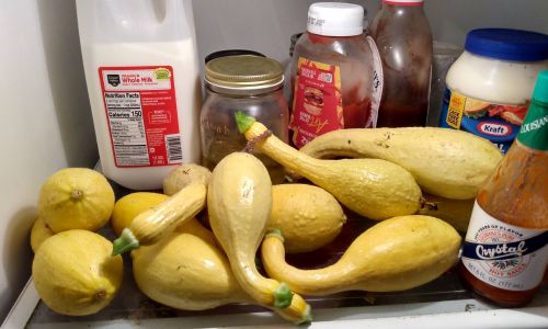 Crook Neck Squash Unique Uses