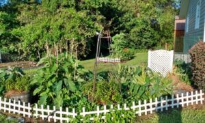 Shopping Flea Markets For Garden Art