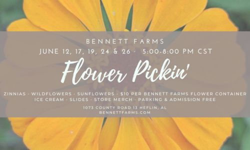 Flower Pickin’