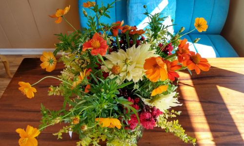 Gardeners-Treasure-Growing-Bouquets