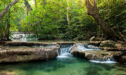 Legacy to Host “Mountains to the Gulf Alabama Educators Explore the State's Natural Wonders