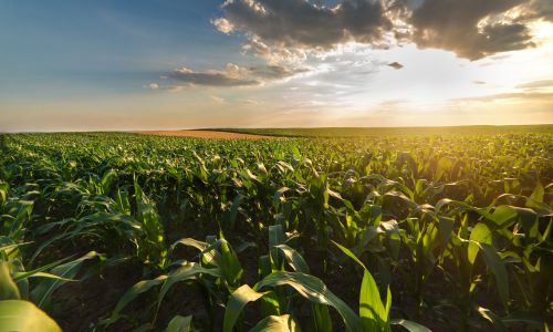 U.S.-Senator-Katie-Britt-Applauds-Alabamians-Appointed-to-Department-of-Agriculture-Positions