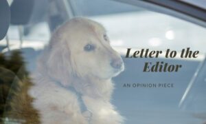 Letter to the EditorOpinion Piec